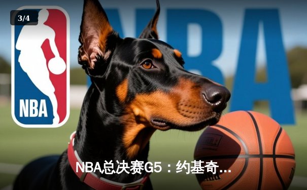NBA总决赛G5：约基奇三双难救主，热火加时险胜掘金扳成2-3 - 3